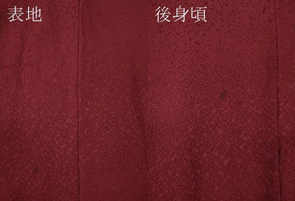 平和屋着物●豪華振袖　舞花文　金彩　正絹　逸品　CABH9740ut
