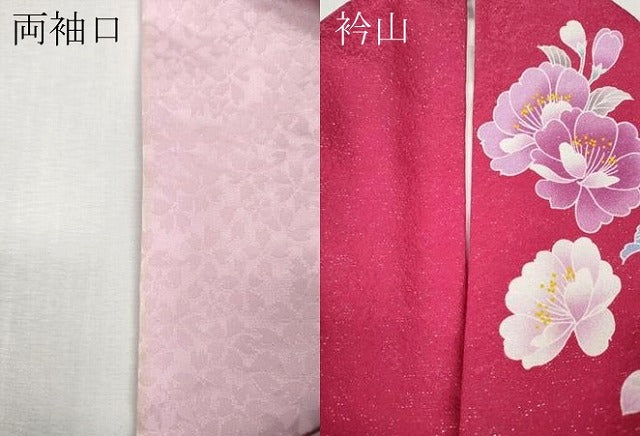 平和屋着物●豪華振袖　花蝶文　ラインストーン　暈し染め　銀通し地　正絹　逸品　CABH9741ut