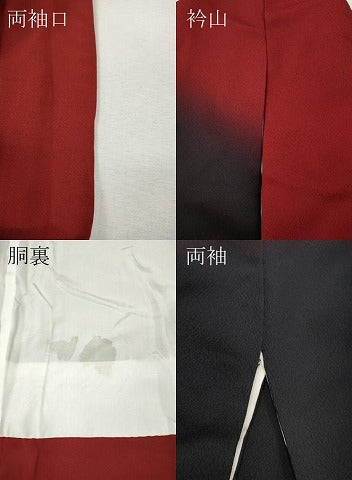 平和屋着物●豪華振袖　舞花文　暈し染め　黒地　金銀彩　正絹　逸品　CABH9745ut