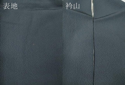 平和屋着物●訪問着　竹屋町刺繍　舞葉文　金彩　正絹　逸品　CABH9785ut