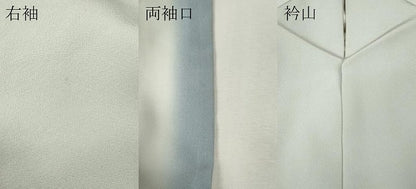平和屋着物●本加賀友禅作家　金丸充夫　訪問着　草花文　暈し染め　正絹　逸品　CABH9816ut