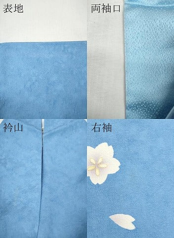 平和屋着物●豪華振袖・長襦袢セット　駒刺繍　舞花文　暈し染め　金彩　京都きもの友禅扱い　正絹　逸品　CABH9848ut