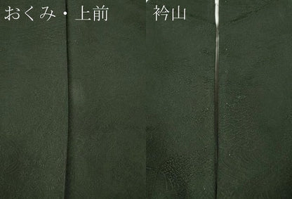 平和屋着物●上質な色無地　風景草花地紋　藍媚茶色　正絹　逸品　CABH9901ut