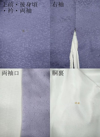 平和屋着物●訪問着　流水枝花文　暈し染め　金彩　正絹　逸品　CABH9924ut