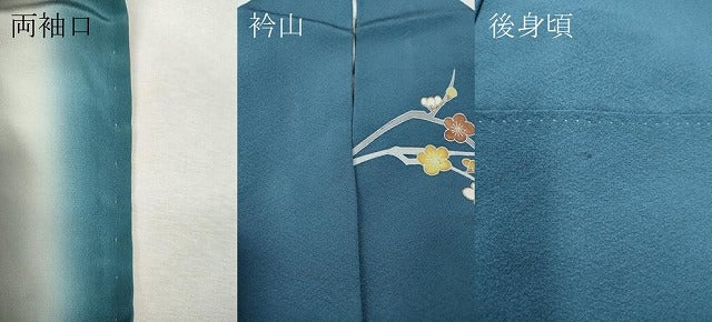 平和屋着物●訪問着　草花文　暈し染め　金彩　正絹　逸品　CABH9938ut