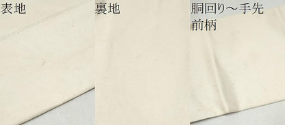 平和屋着物●九寸名古屋帯　唐織　枝菊文　正絹　逸品　CABI0187hy