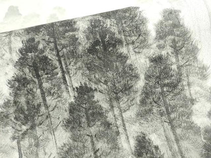 平和屋着物●六通柄袋帯　手描き　綴れ　樹林文　銀糸　正絹　逸品　CABI0226hy