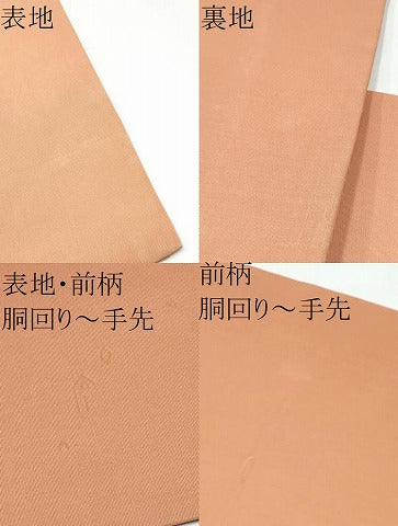 平和屋着物●塩瀬　九寸名古屋帯　更紗花文　金彩　正絹　逸品　CABI0251hy