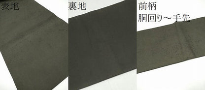 平和屋着物●塩瀬　九寸名古屋帯　枝花文　金彩　正絹　逸品　CABI0290hy