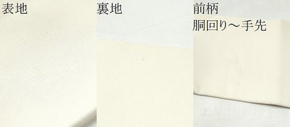 平和屋着物●塩瀬　九寸名古屋帯　舞蝶文　金彩　正絹　逸品　CABI0291hy