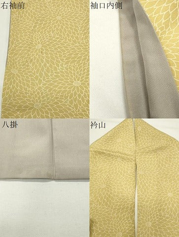 平和屋着物●訪問着　菊尽くし　暈し染め　正絹　逸品　CABI0425gh