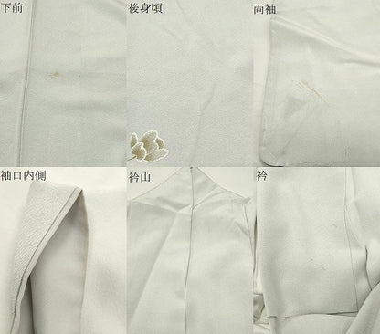 平和屋着物●訪問着　胡蝶蘭　暈し染め　金銀彩　正絹　逸品　CABI0433gh