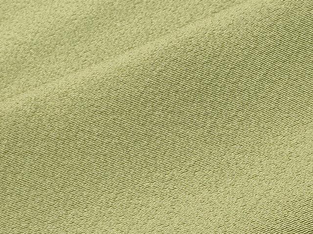平和屋着物●上質な色無地　抹茶色　正絹　逸品　CABI0467gh
