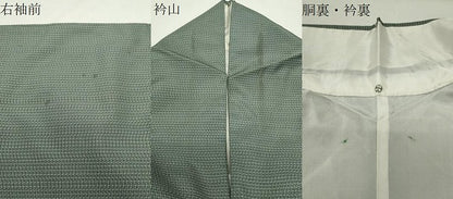 平和屋着物●本場大島紬　100亀甲　総詰め　正絹　逸品　CABI0494gh