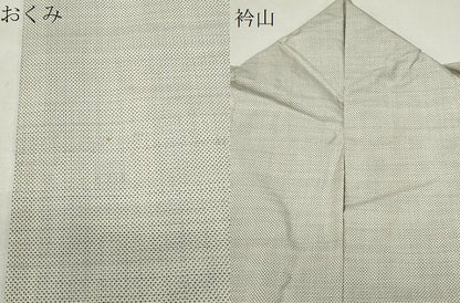 平和屋着物●本場大島紬　白大島　カタス　株式会社夢おりの郷謹製　証紙付き　正絹　逸品　CABI0565gh