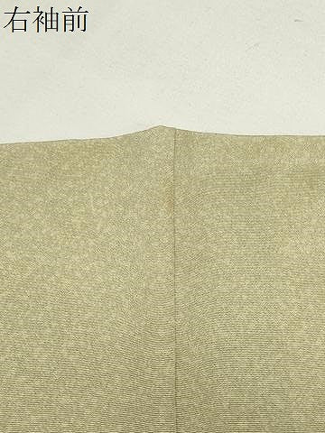 平和屋着物●訪問着　流水草花文　暈し染め　金彩　正絹　逸品　CABI0572gh
