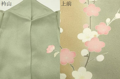 平和屋着物●訪問着　友禅　作家物　枝花文　暈し染め　正絹　逸品　CABI0580gh