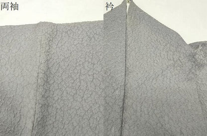 平和屋着物●訪問着　枝梅文　金彩　銀通し地　正絹　逸品　CABI0583gh