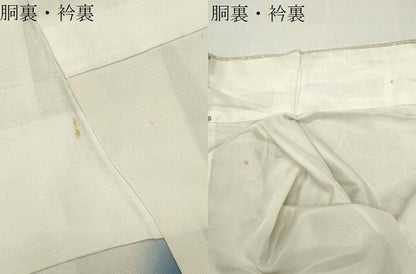 平和屋着物●本塩沢　舞花文　正絹　逸品　CABI0611gh