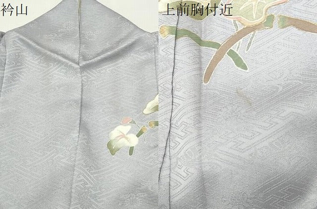 平和屋着物●訪問着　駒刺繍　草花文　金彩　ロング丈　正絹　逸品　CABI0681gh