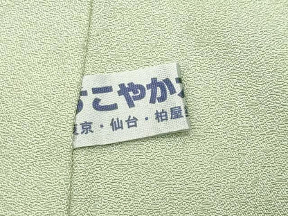 平和屋着物●訪問着　友禅　枝花文　正絹　逸品　CABI0872gh