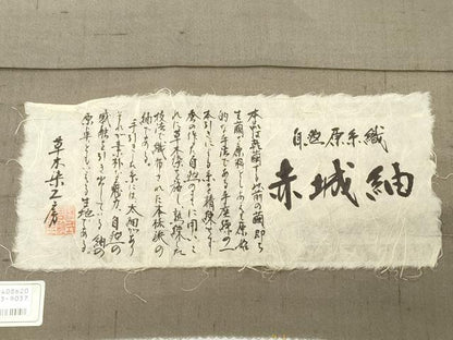 平和屋着物●西川治郎　訪問着　赤城紬　草木染工房　童子遊び　証紙付き　仮絵羽　正絹　逸品　未使用　CABI0906gh
