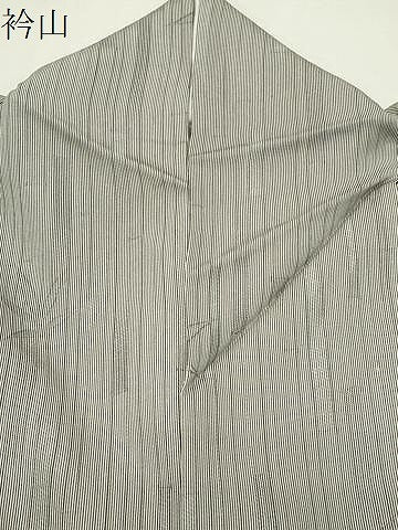 平和屋着物●江戸小紋　万筋　白色×漆黒色　笹竹文　正絹　逸品　CABI0970gh