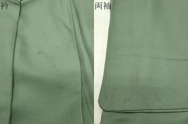 平和屋着物●訪問着　枝花文　金彩　正絹　逸品　CABI0972gh