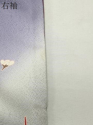 平和屋着物●訪問着　尾長鳥花文　暈し染め　金彩　正絹　逸品　CABI0987gh