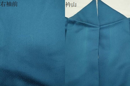 平和屋着物●訪問着　舞蝶草木文　暈し染め　金銀彩　正絹　逸品　CABI1154gh