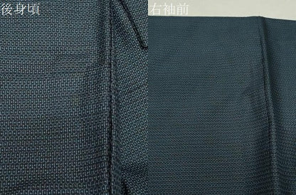 平和屋着物●男性　本場大島紬　100亀甲　総詰め　キングサイズ　正絹　逸品　未使用　CABI1170gh