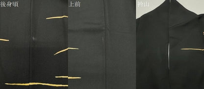平和屋着物●訪問着　草花文　黒地　金彩　正絹　逸品　CABI1176gh