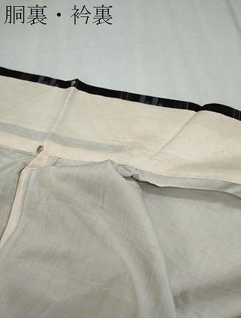 平和屋着物●上質な紬　琉球絣紋様　正絹　逸品　CABI1204th