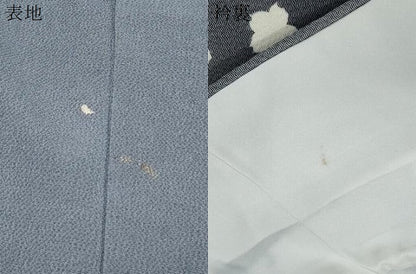 平和屋着物●史上初の女性友禅師 京都府伝統産業優秀技術者 京の名工 岡山武子 訪問着 暈し染め 銀彩 鬼しぼ縮緬 正絹 逸品 CABI1221th