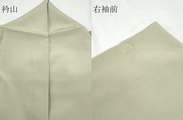平和屋着物●豪華色留袖　作家物　大名行列　暈し染め　金彩　正絹　逸品　CABI1270th