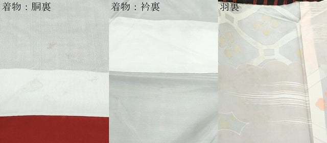 平和屋着物●本場大島紬　龍郷絣　秋名バラ　アンサンブル　正絹　逸品　CABI1336th