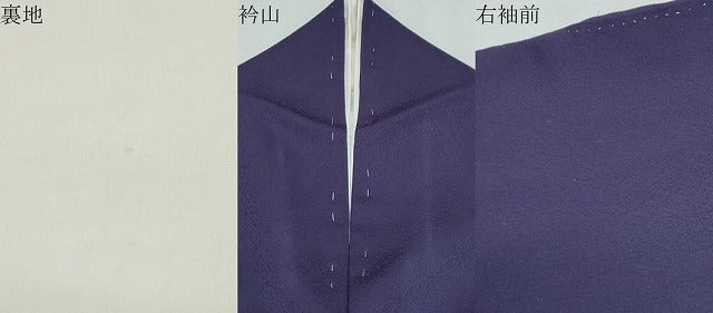 平和屋着物●豪華色留袖　駒刺繍　風景文　金彩　正絹　逸品　CABI1355th