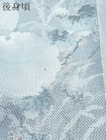 平和屋着物●都喜ヱ門　本場大島紬　総絣　雪輪草花文　藤絹織物謹製　やまと誂製　証紙付き　正絹　逸品　CABI1368th