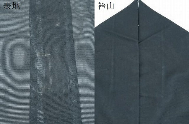 平和屋着物＊夏物　訪問着　絽　童子遊び　黒地　洗える着物　CABI1431th