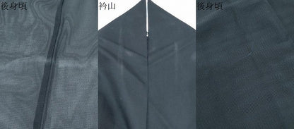 平和屋着物＊夏物　訪問着　絽　鶴　流水籬花文　黒地　洗える着物　CABI1433th