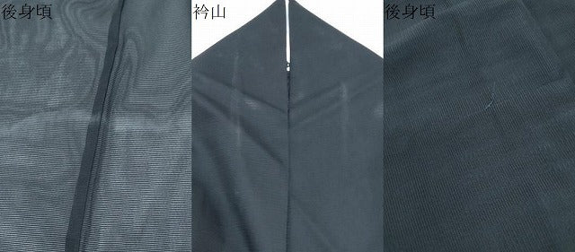 平和屋着物＊夏物　訪問着　絽　鶴　流水籬花文　黒地　洗える着物　CABI1433th