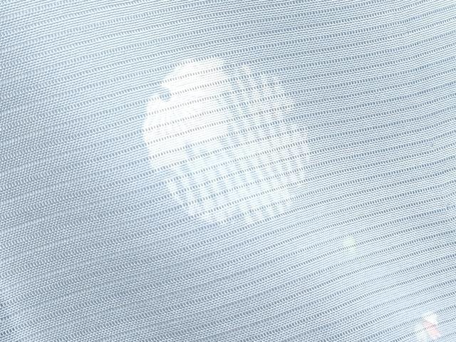 平和屋着物＊夏物　小紋　絽　舞花文　正絹　逸品　CABI1441th