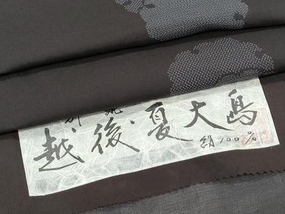 平和屋着物＊夏物　越後夏大島紬　160亀甲　雪輪文　証紙付き　正絹　逸品　CABI1443th