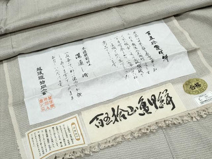 平和屋着物●上質な紬　百五拾亀甲絣　総詰め　ロング丈　正絹　逸品　CABI1543th