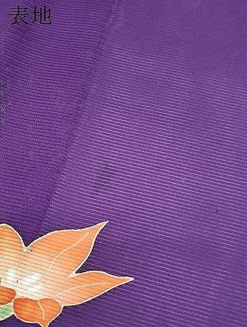 平和屋着物＊夏物　訪問着　絽　流水草花文　正絹　逸品　CABI1550th