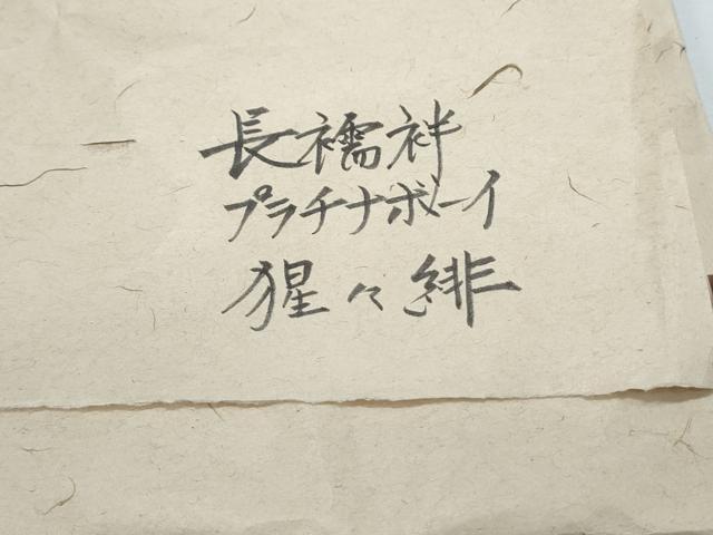 平和屋着物＊夏物　男性　銀座もとじ　長襦袢　本場小千谷縮　プラチナボーイ　霞文　たとう紙付き　麻　逸品　CABI1551th