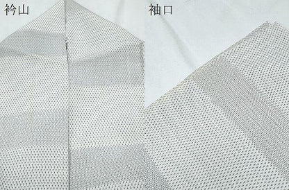 平和屋着物＊夏物　本塩沢　夏塩沢　やまだ織　80亀甲　横段文　ロング丈　正絹　逸品　CABI1554th