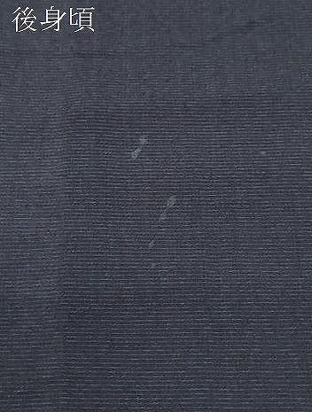 平和屋着物＊夏物　男性　紗紬　霞文　正絹　逸品　CABI1556th