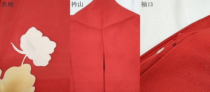 平和屋着物＊夏物　訪問着　絽　草花文　正絹　逸品　CABI1558th
