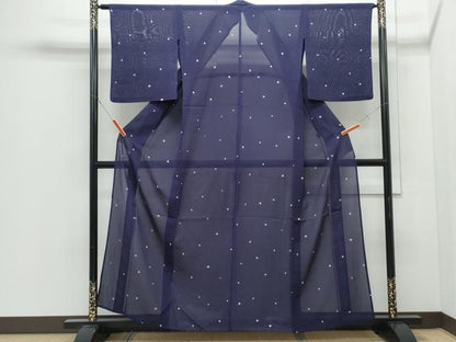 平和屋着物＊夏物　小紋　絽　あられ　正絹　逸品　CABI1566th